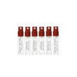 Load image into Gallery viewer, Discovery Set Eau de Parfum