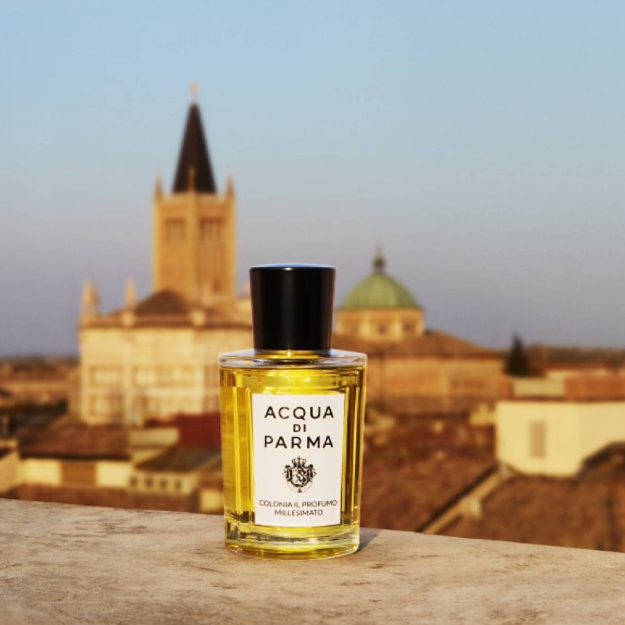 custom-slideshow-image-mobile-block_VjfqV8