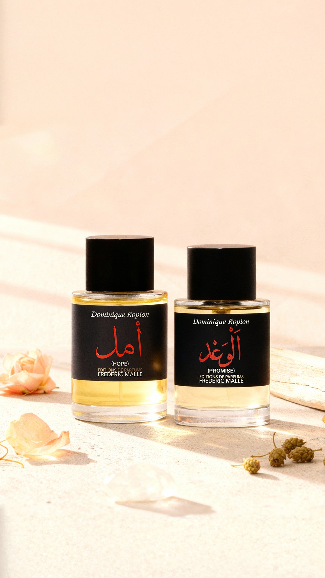 custom-slideshow-image-mobile-block_VjfqV8