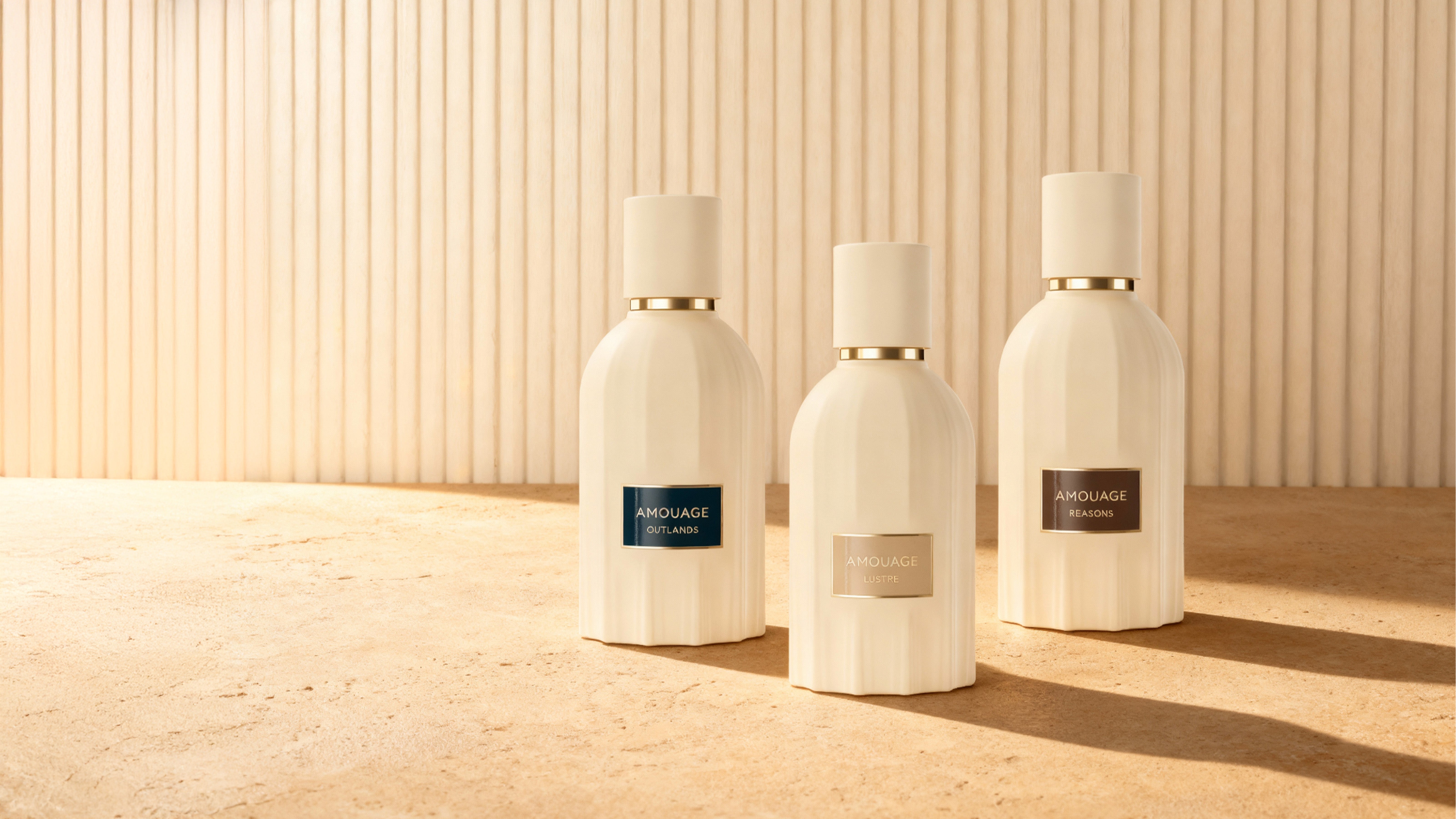 custom-slideshow-image-desktop-block_9nQedx