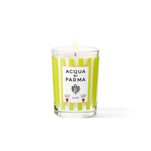 Ulivo Candle Summer 2025