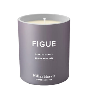 Figue Candle